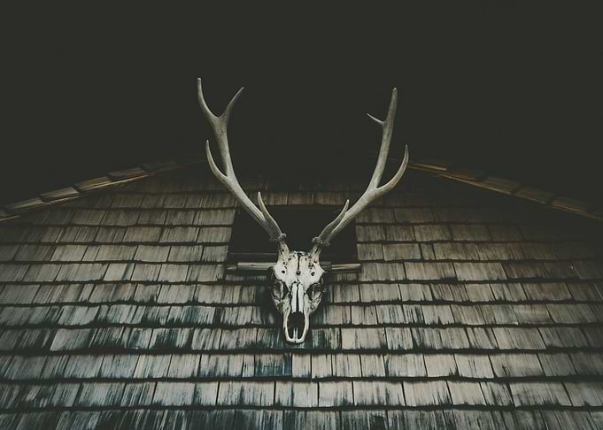 Mystic antlers