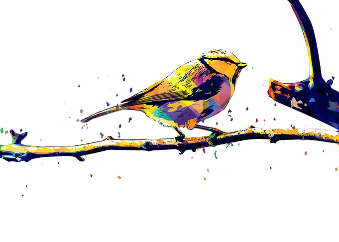 BIRD