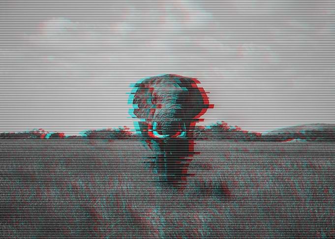 Elephant Distorted