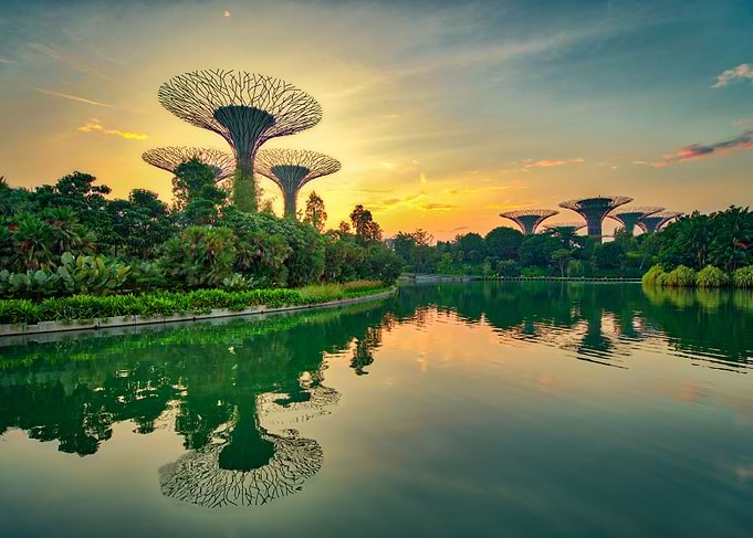 Sun in Singapore Gardens