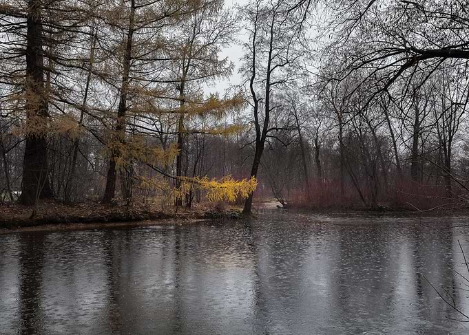 The Yellow Spot