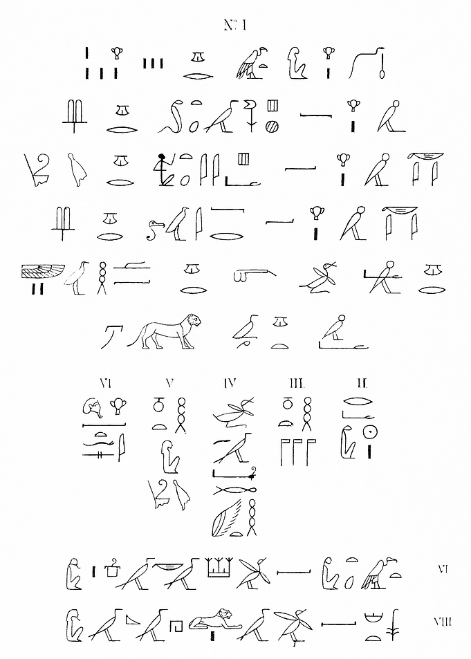 Neith