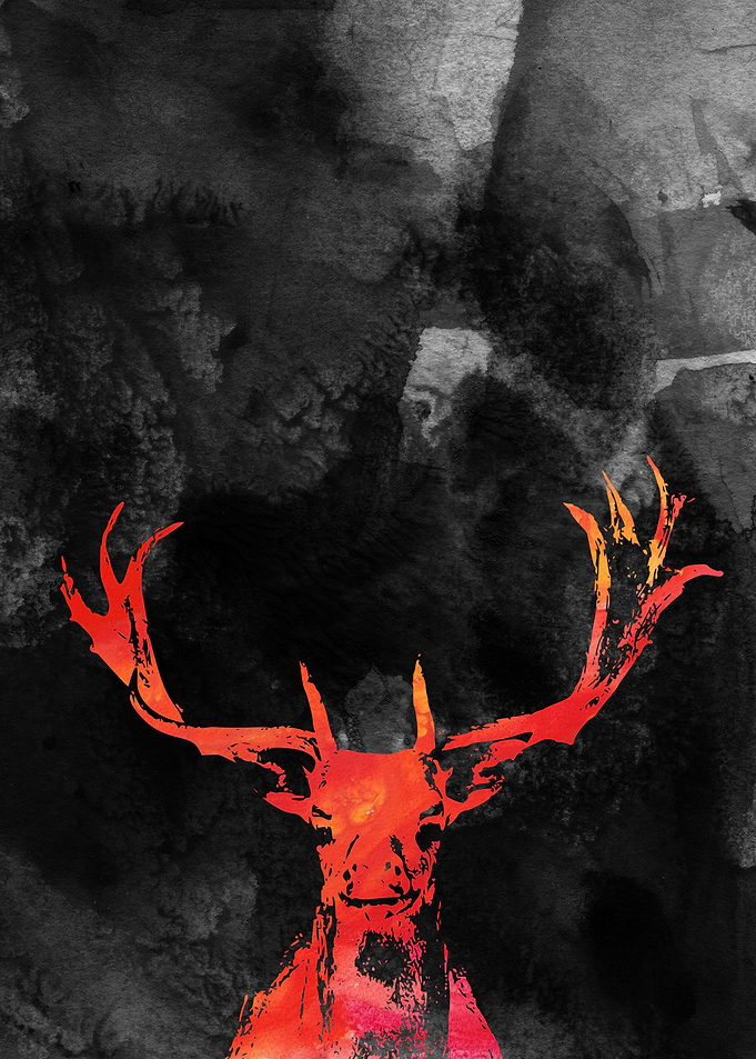 Deer
