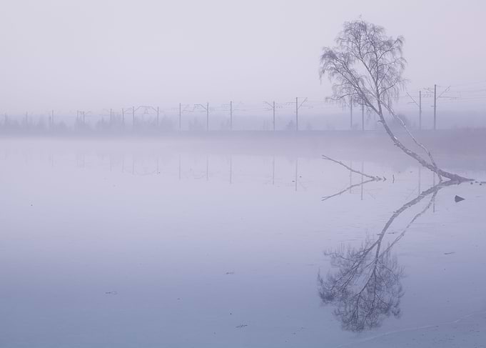 Lonely In The Mist
