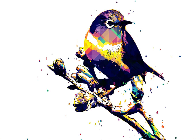 BIRD