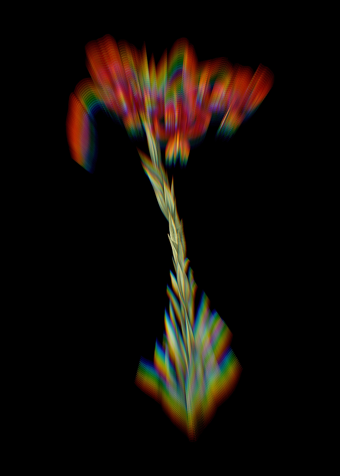 Prism Vintage Lily