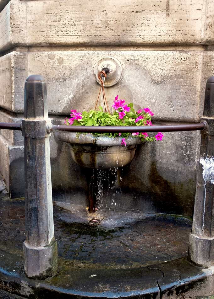 Watering flowers
