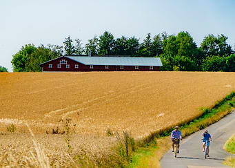 Latest drop
