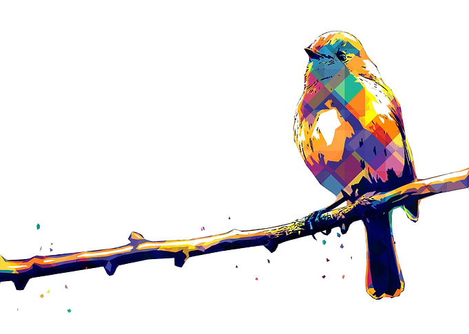 BIRD