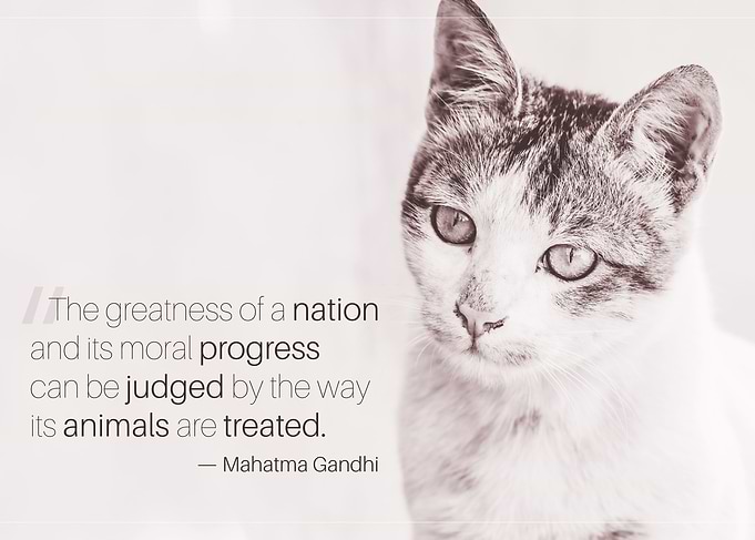 Greatness of Nation