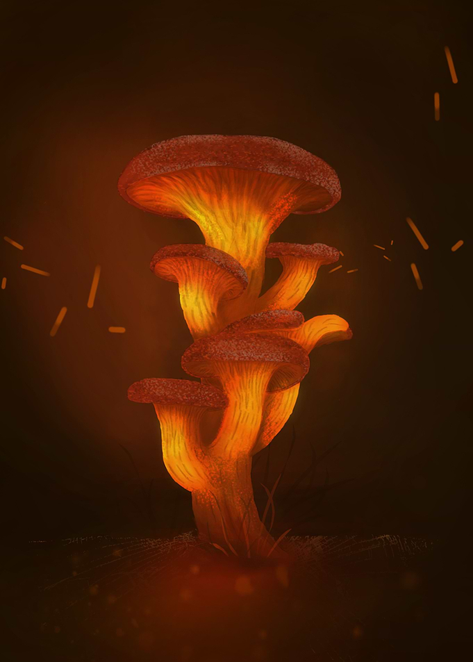 Lighting Mushroom