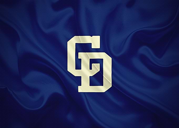 Chunichi Dragons Japanese