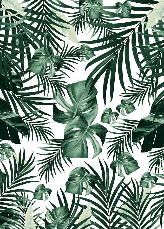 Tropical Jungle Leaves 4a