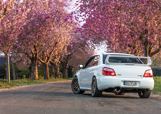 sti