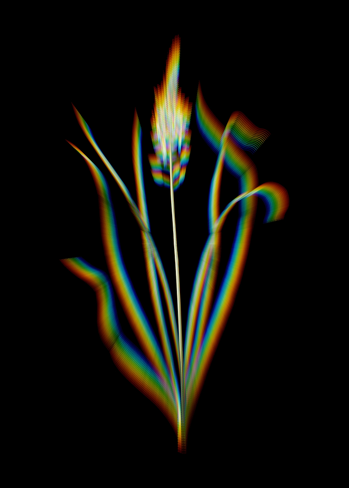Prism Wild Asparagus