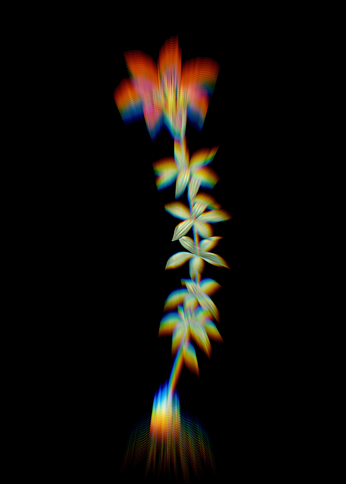 Prism Wood Lily