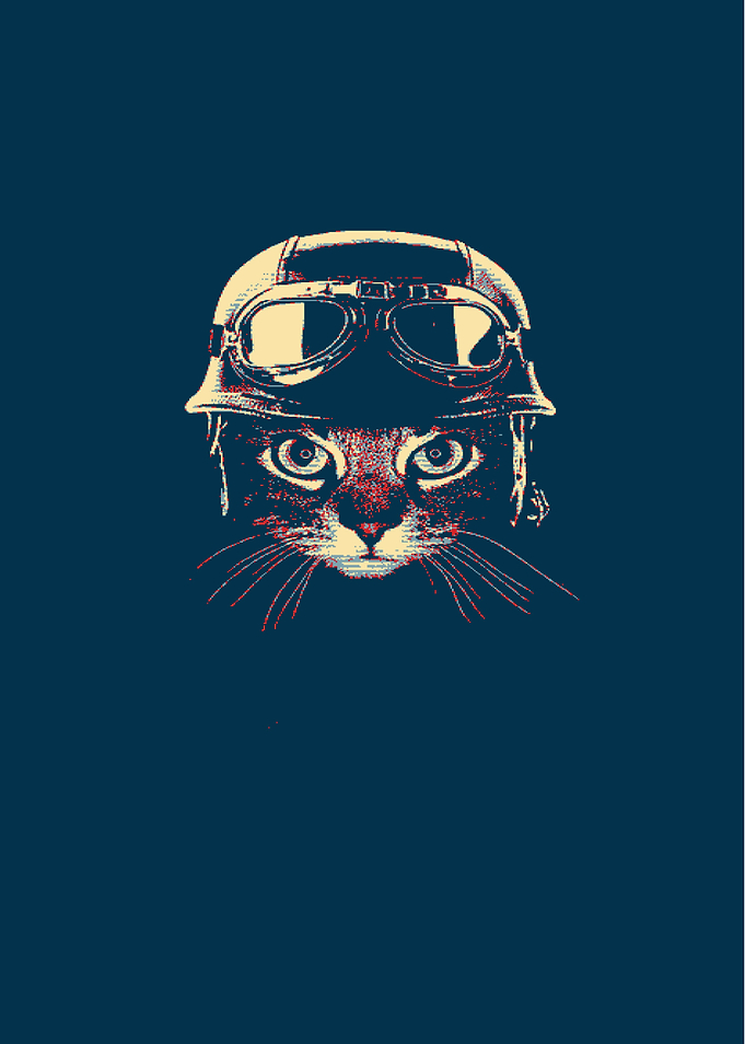 catty