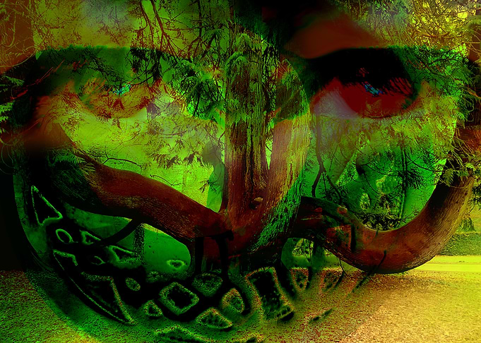The witch park