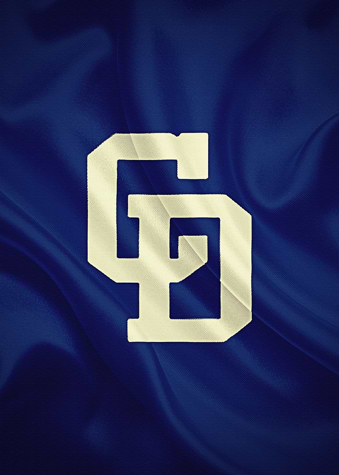Chunichi Dragons Japanese