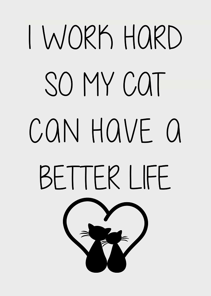 cats lovers