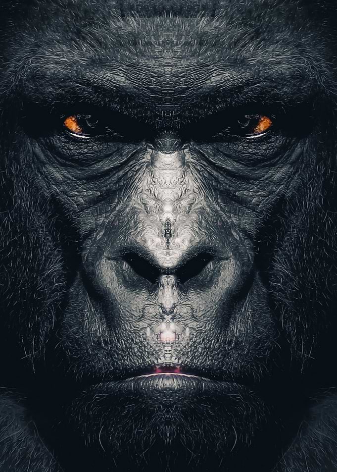 The Gorilla
