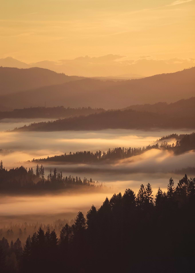 Foggy morning
