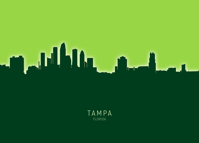 Tampa Skyline Florida