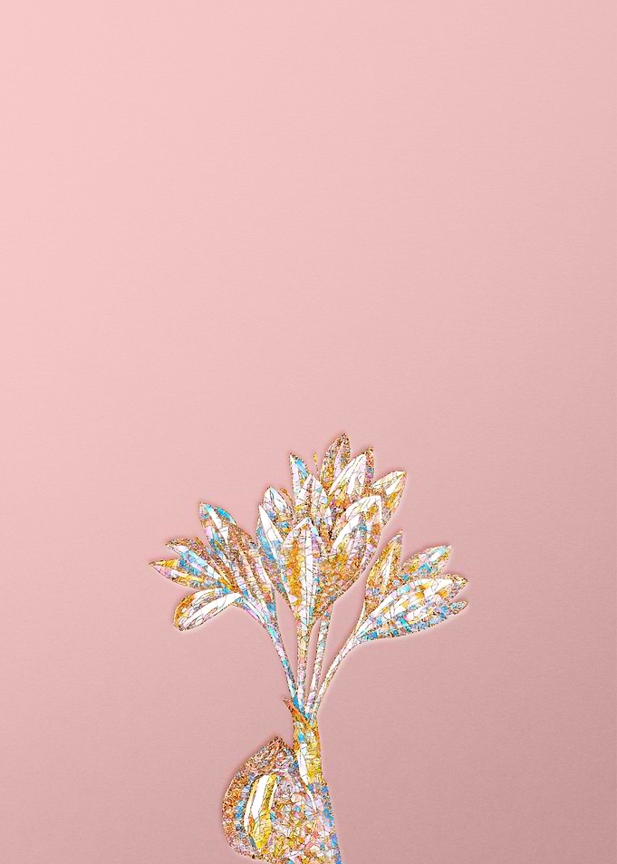 Pink Crystal Mosaic Crocus