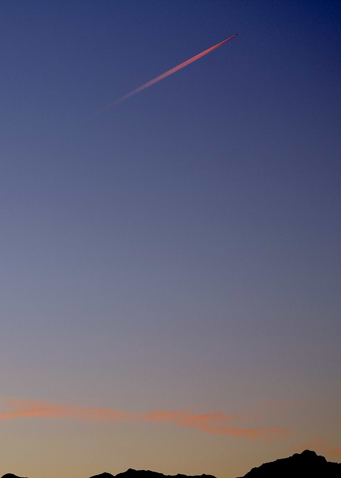 The Red Trail