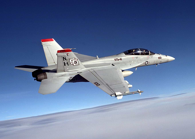 F 18 Military Jet Fighter