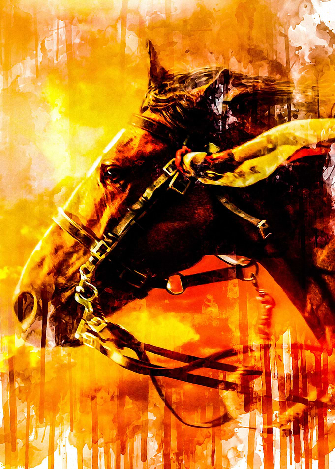 War Horse 1 2
