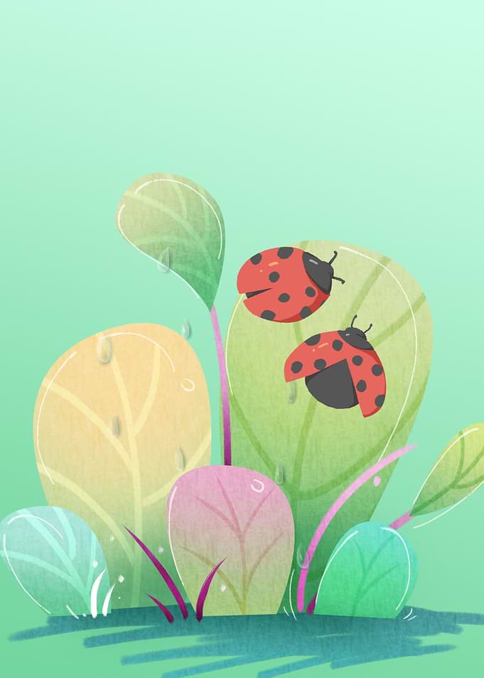 Ladybugs on Leaves Nature