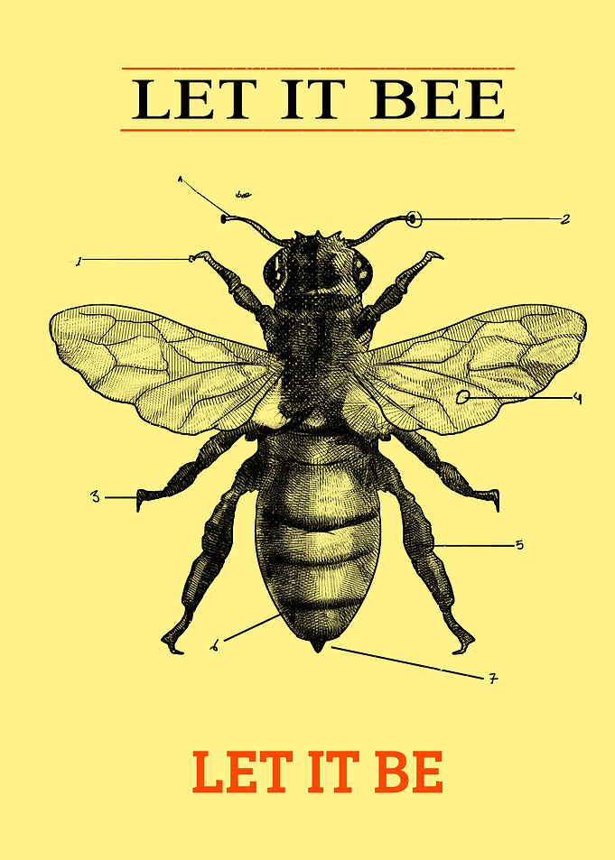 Let it Bee Insect Quote