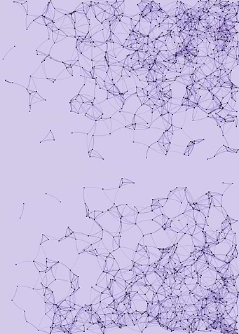 Network Mesh