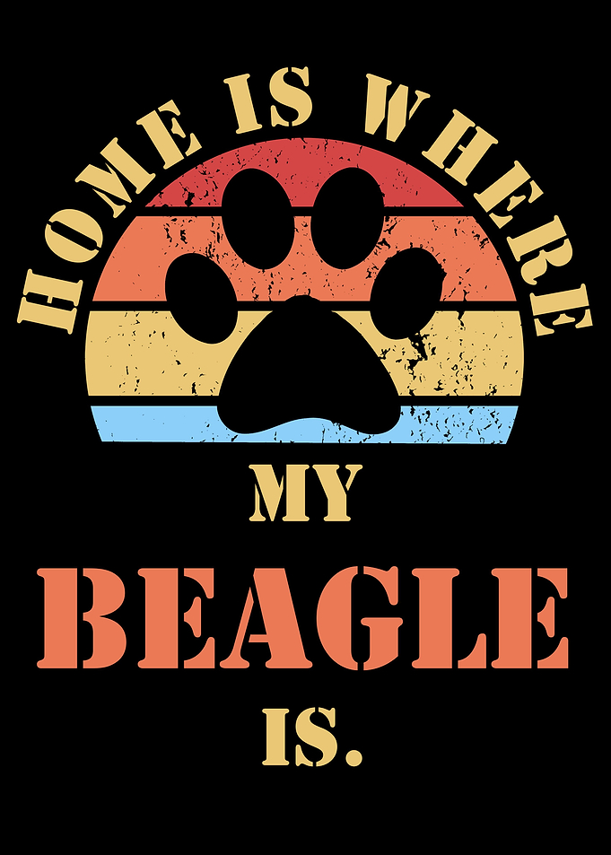 Beagle Dog