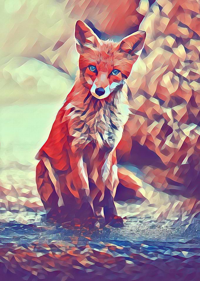 FOX