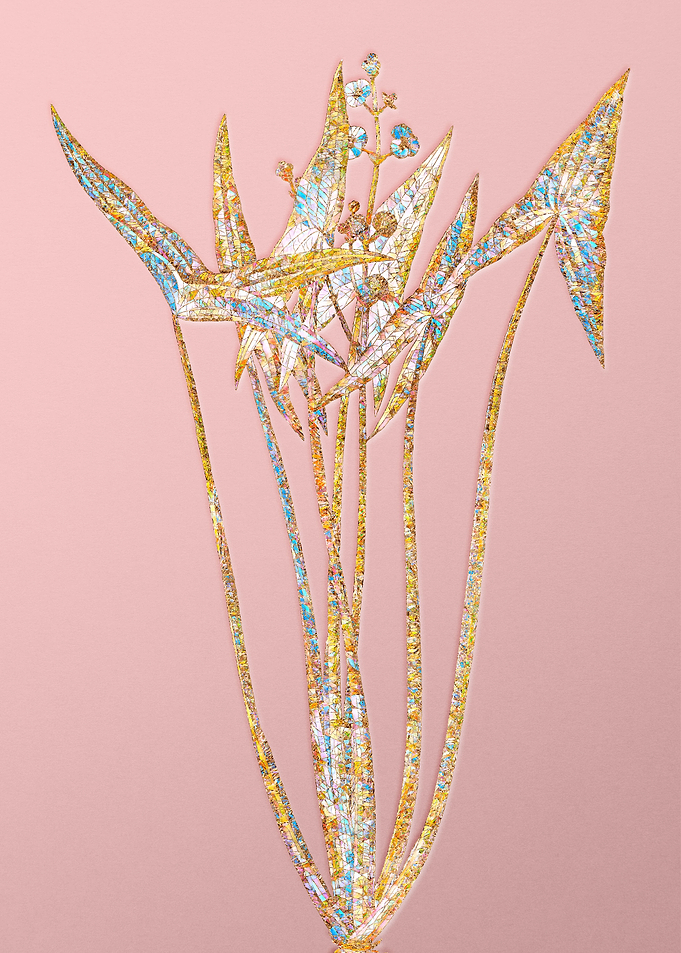 Pink Crystal Arrowhead