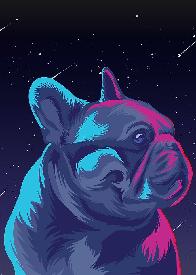 french bulldog