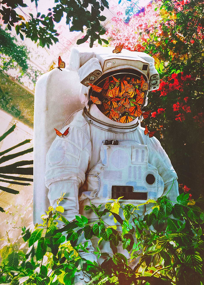 At The Garden