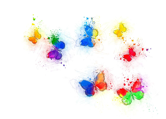 Butterfly rainbow 1 7