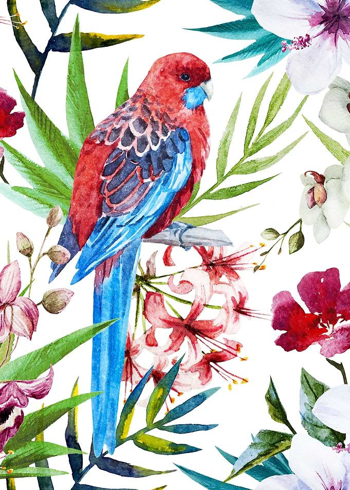 Tropical Bird Pattern 05
