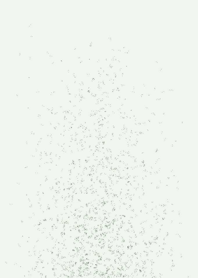 Network Mesh