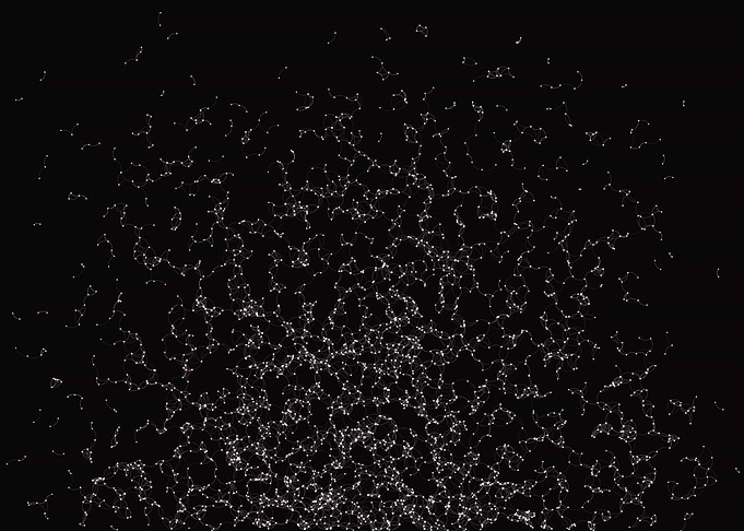Network Mesh