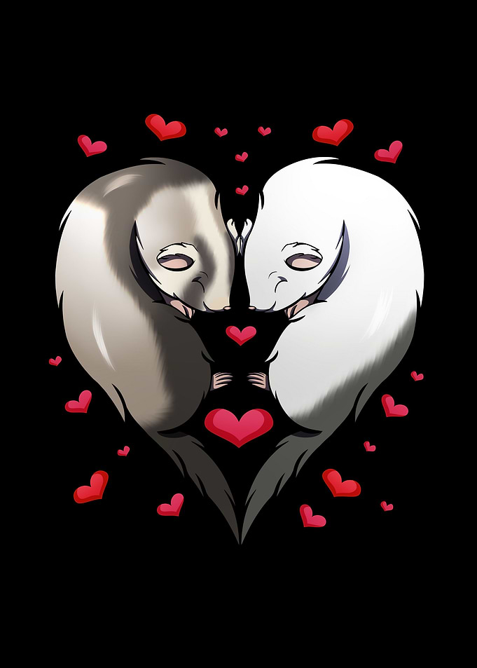 Ferret Couple Hearts Love