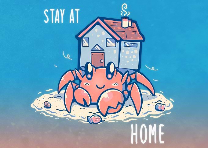 Stay at Home Hermit