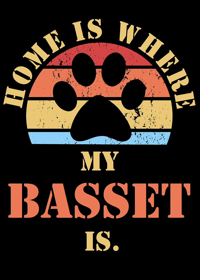 Basset Hound Dog