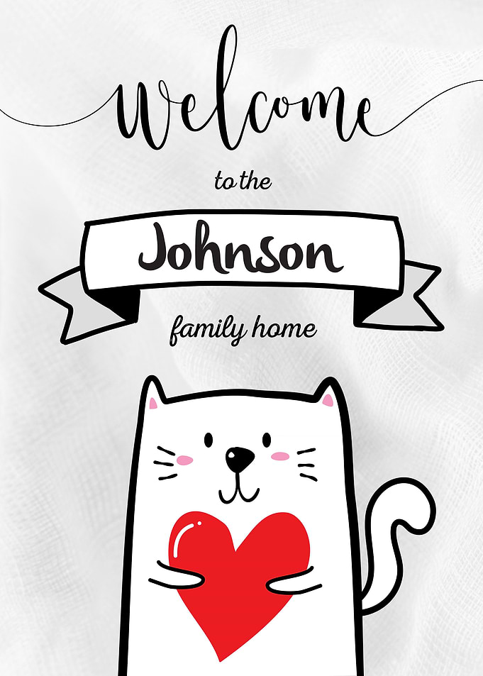 Johnson Family Home Cat