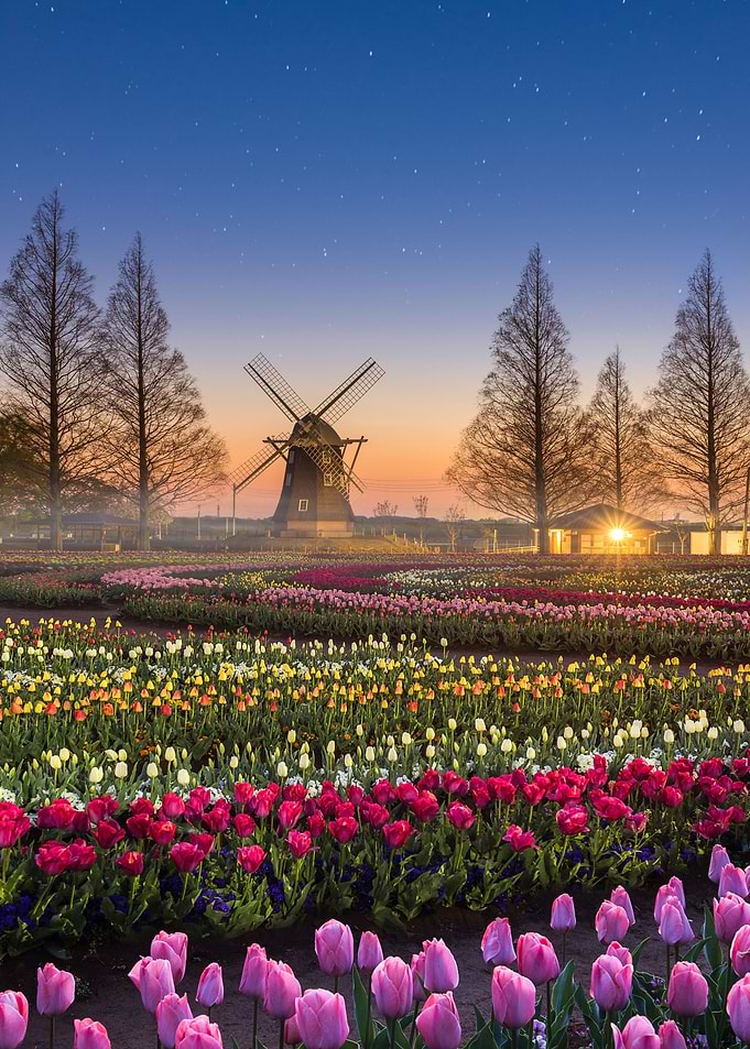 Windmill