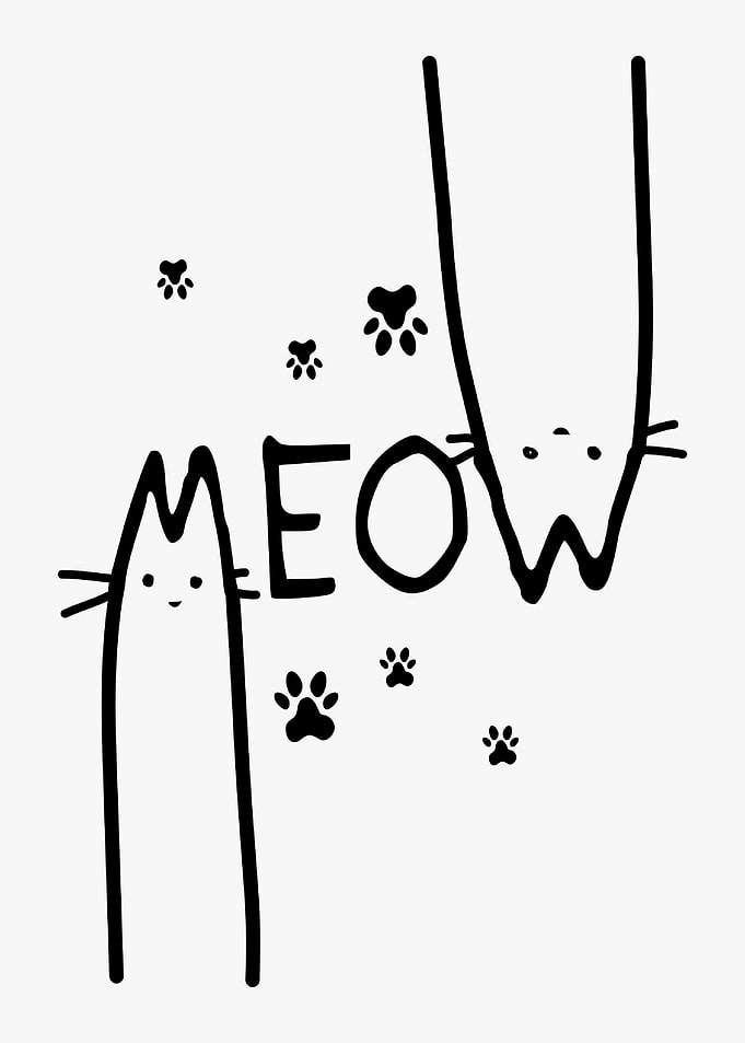 Moew