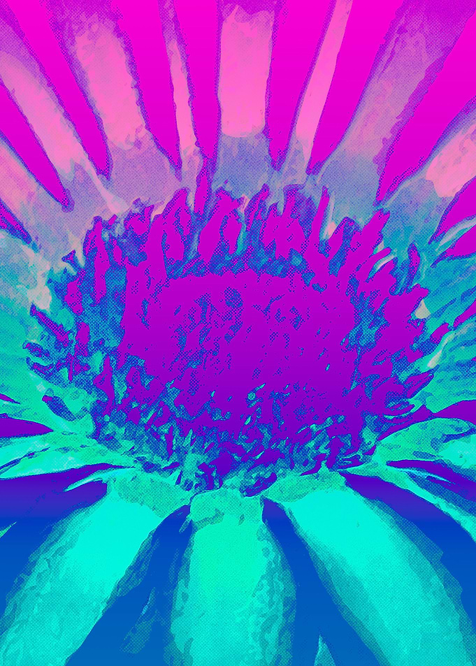 PSYCHEDELIC DAISY 3